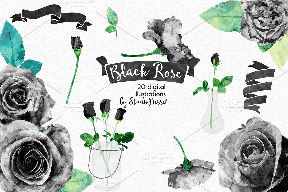Black Rose in Illustrations - product preview 8