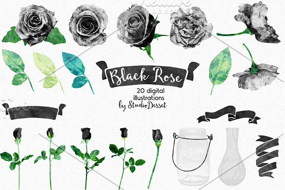 Black Rose in Illustrations - product preview 2