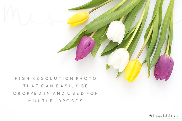 Styled stock photography tulips in Product Mockups - product preview 1