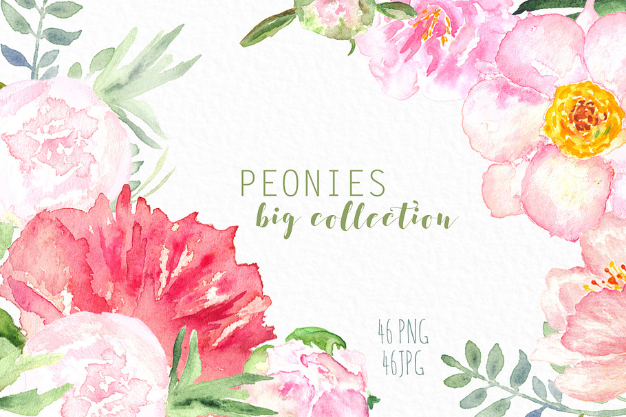Peonies big collection watercolor in Illustrations - product preview 8