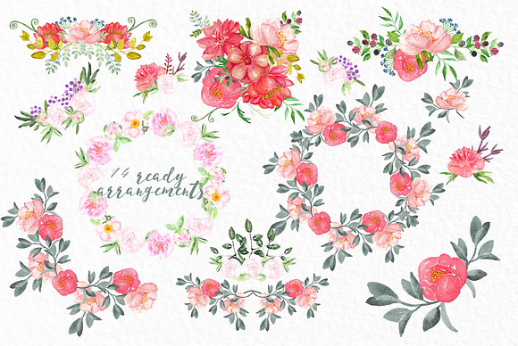 Peonies big collection watercolor in Illustrations - product preview 1