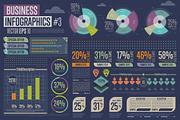 Business Infographic #3