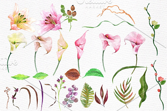 Watercolor floral clip art in Illustrations - product preview 1