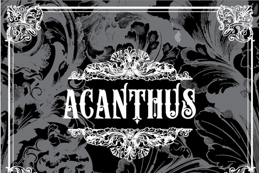 17 Vintage Acanthus Flourishes  in Illustrations - product preview 8
