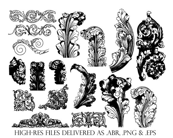 17 Vintage Acanthus Flourishes  in Illustrations - product preview 1