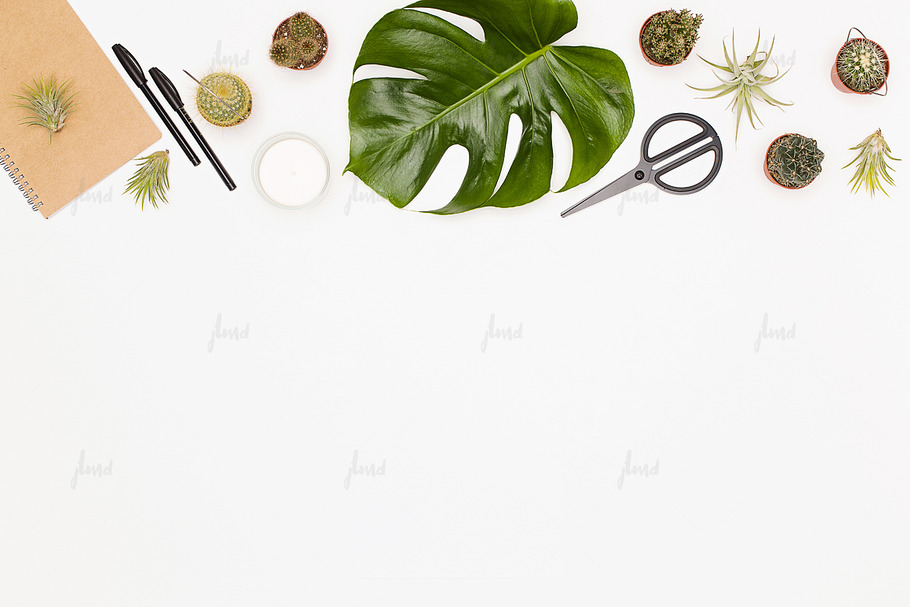 Air plant, cacti and monstera leaf in Product Mockups - product preview 8