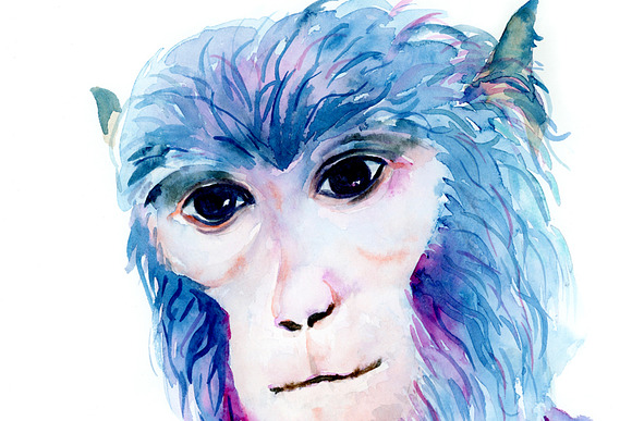 Watercolor Monkey Portrait in Illustrations - product preview 1
