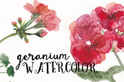 Watercolor geranium flowers set