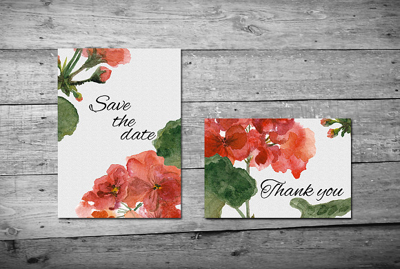 Watercolor geranium flowers set in Illustrations - product preview 3