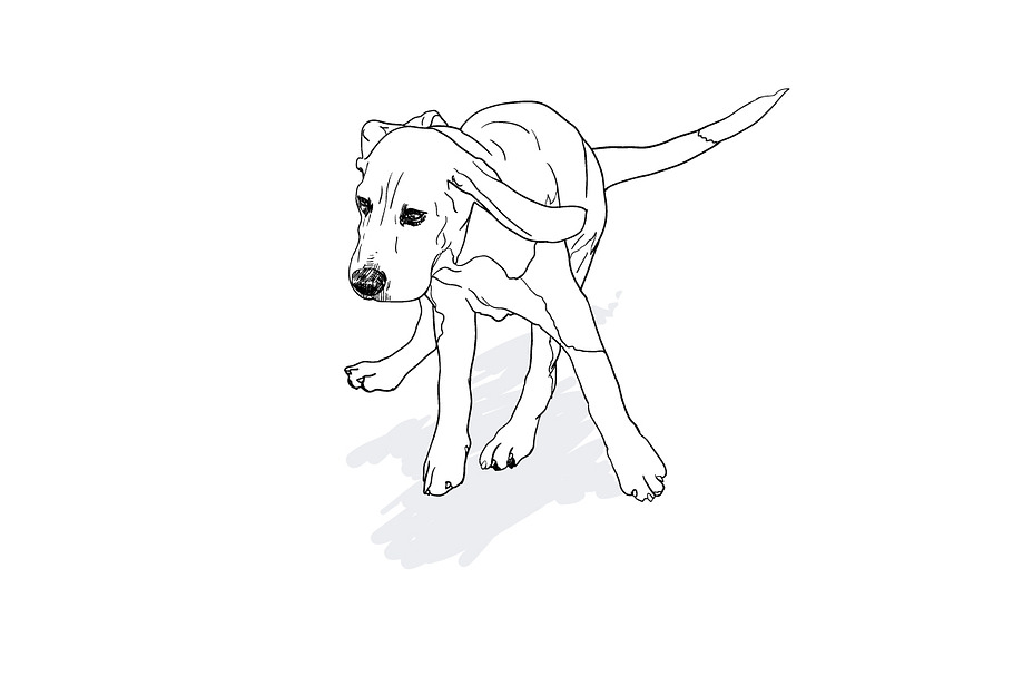 Running Beagle with shadow in Illustrations - product preview 8
