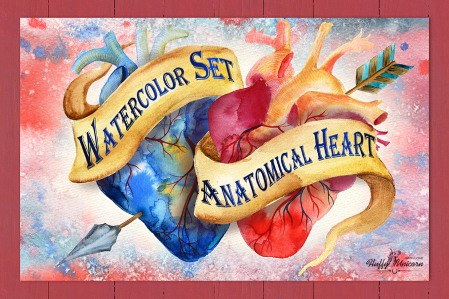 Anatomical Heart Watercolor Set in Illustrations - product preview 8