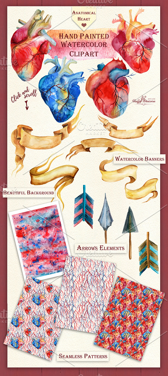 Anatomical Heart Watercolor Set in Illustrations - product preview 1