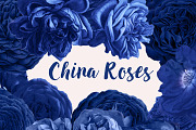 China Roses Vintage Watercolor Roses