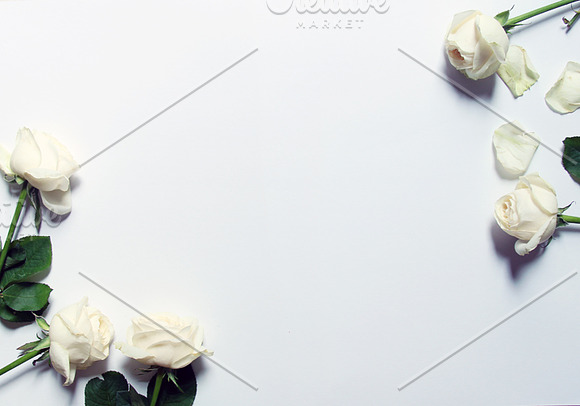 White Roses Stock Mockup in Print Mockups - product preview 1