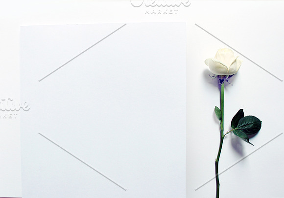 White Roses Stock Mockup in Print Mockups - product preview 4