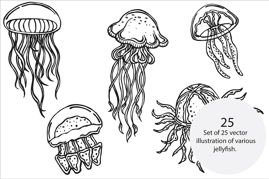 Jellyfish, vector in Illustrations - product preview 8