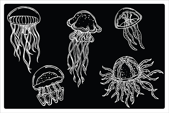 Jellyfish, vector in Illustrations - product preview 1