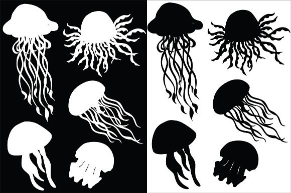 Jellyfish, vector in Illustrations - product preview 2