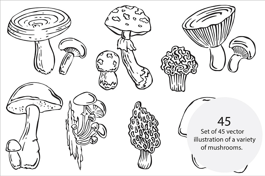 Mushrooms vector in Illustrations - product preview 8