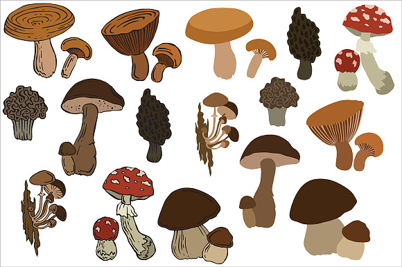 Mushrooms vector in Illustrations - product preview 3