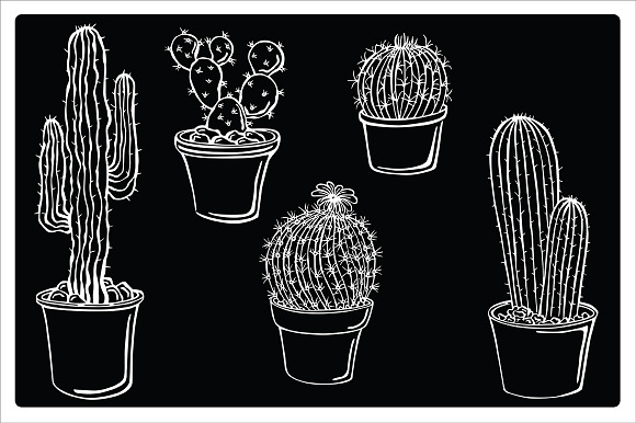 Cacti, vector in Illustrations - product preview 1