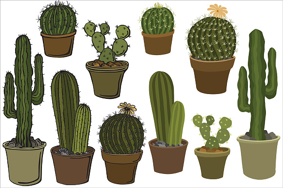 Cacti, vector in Illustrations - product preview 3