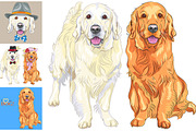 Set of dogs breed Golden Retriever