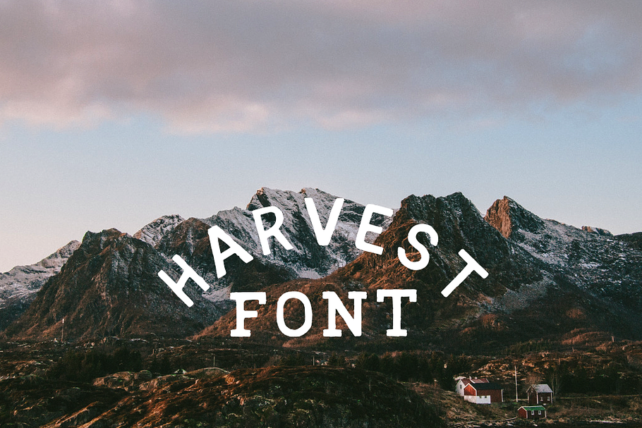 Harvest Font in Fonts - product preview 8