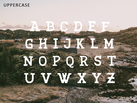 Harvest Font in Fonts - product preview 2
