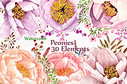 Watercolor peonies flowers clipart