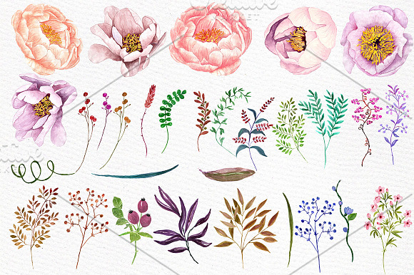 Watercolor peonies flowers clipart in Illustrations - product preview 1