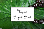 Tropical Styled Stock