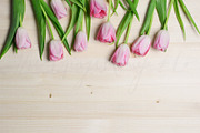 Tulips on Light Wood Styled Desktop