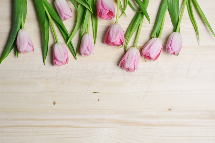 Tulips on Light Wood Styled Desktop