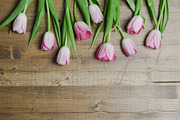 Tulips on Walnut Wood Styled Desktop