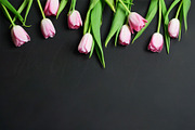 Tulips on Black Styled Desktop