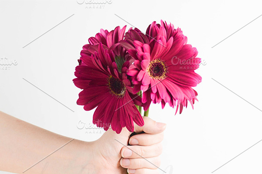 Daisies in Hand Styled Photo in Product Mockups - product preview 8