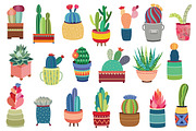 20 Succulents & Cactus Vector / PNG