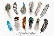 Natural Watercolor Feathers