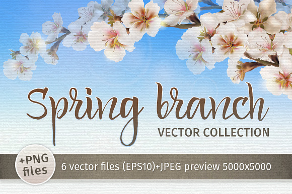 Spring blooming cherry branch in Illustrations - product preview 1