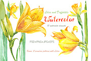 Watercolor yellow flowers