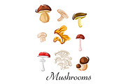Edible and toxic mushrooms