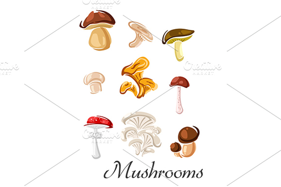 Edible and toxic mushrooms in Graphics - product preview 8