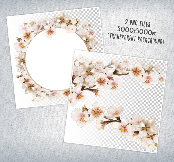 Spring blooming cherry branch in Illustrations - product preview 2
