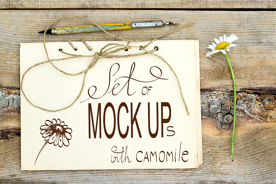 Set of retro mockups with camomile
