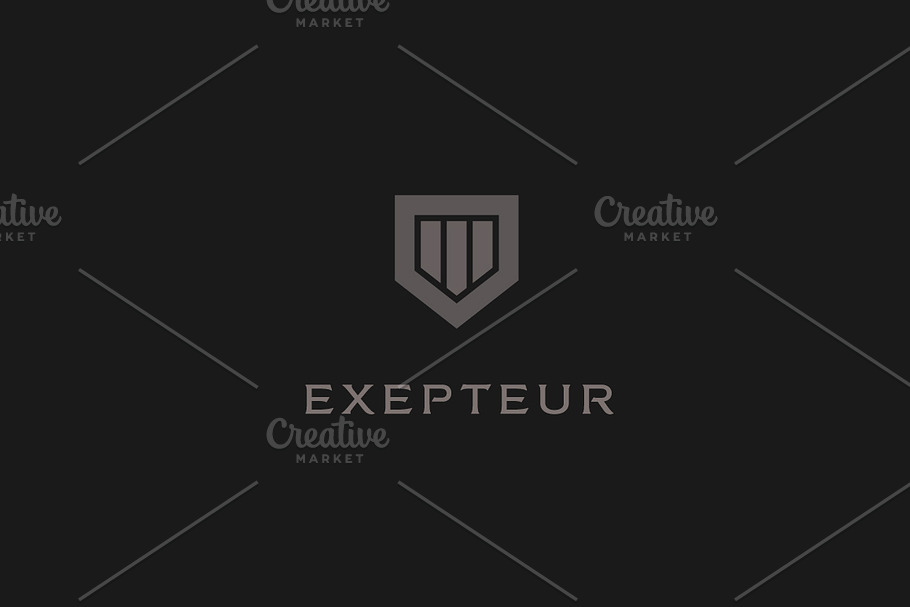 Abstract shield logo design in Logo Templates - product preview 8