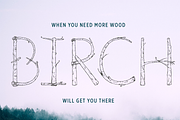 Birch Is Right Here - Outline