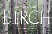 Birch Is Right Here - Fill