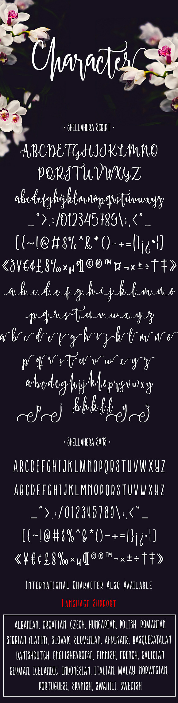 Shellahera Script in Twitter Fonts - product preview 2