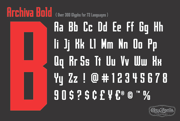 Archiva Bold in Sans-Serif Fonts - product preview 3